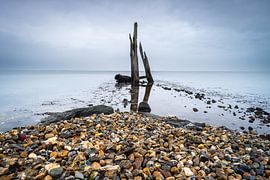 Pebble beach with wooden posts Den Osse Netherlands by Sonny Vermeer