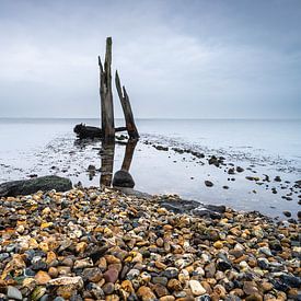 Kieselstrand mit Holzpfählen Den Osse Niederlande von Sonny Vermeer