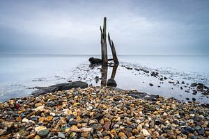 Kiezelstrand met houten palen Den Osse Nederland