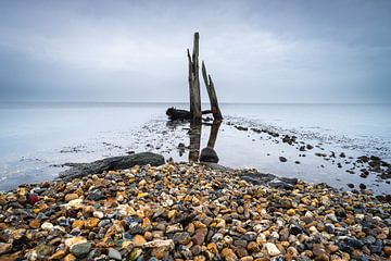 Pebble beach with wooden posts Den Osse Netherlands by Sonny Vermeer