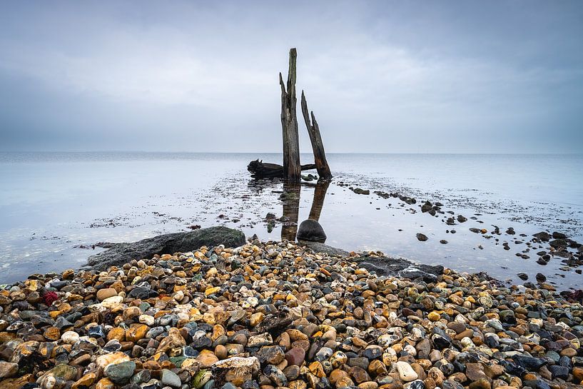 Pebble beach with wooden posts Den Osse Netherlands by Sonny Vermeer