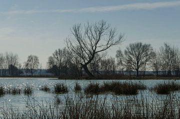 Une journée d'hiver ensoleillée au bord de l'eau sur Ans Bastiaanssen