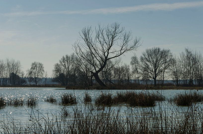 Une journée d'hiver ensoleillée au bord de l'eau par Ans Bastiaanssen