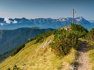 Blick vom 