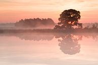 Strabrechtse Heide 191 van Deshamer thumbnail