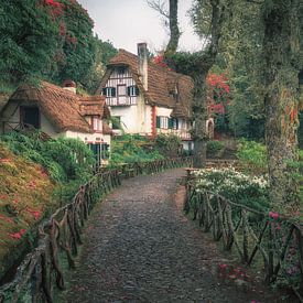 Picturesque Madeira: a traditional thatched cottage in the cloud forest of Queimadas by Steffen Peters