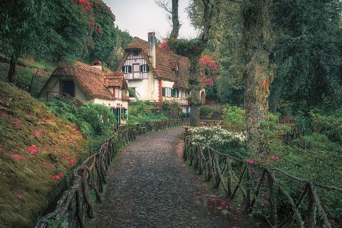 Malerisches Madeira: Traditionelles Reethaus im Nebelwald von Queimadas von Steffen Peters