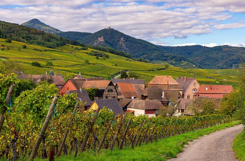 The village of Hunawihr in Alsace, France by Adelheid Smitt