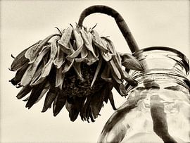 Stilleven by Ineke Spronk