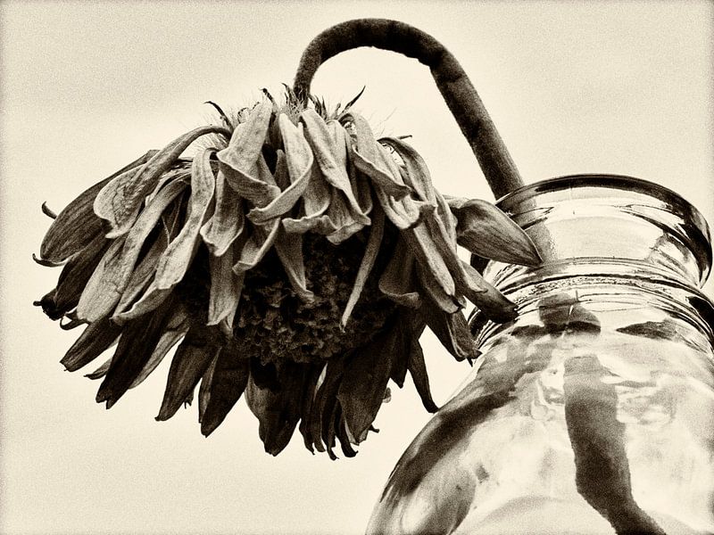 Stilleven par Ineke Spronk