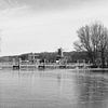 Moulins De Lelie et De Ster sur le Kralingse Plas à Rotterdam en hiver sur MS Fotografie | Marc van der Stelt