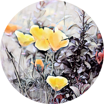 Californische klaproos met een rode bloem van Patricia Piotrak