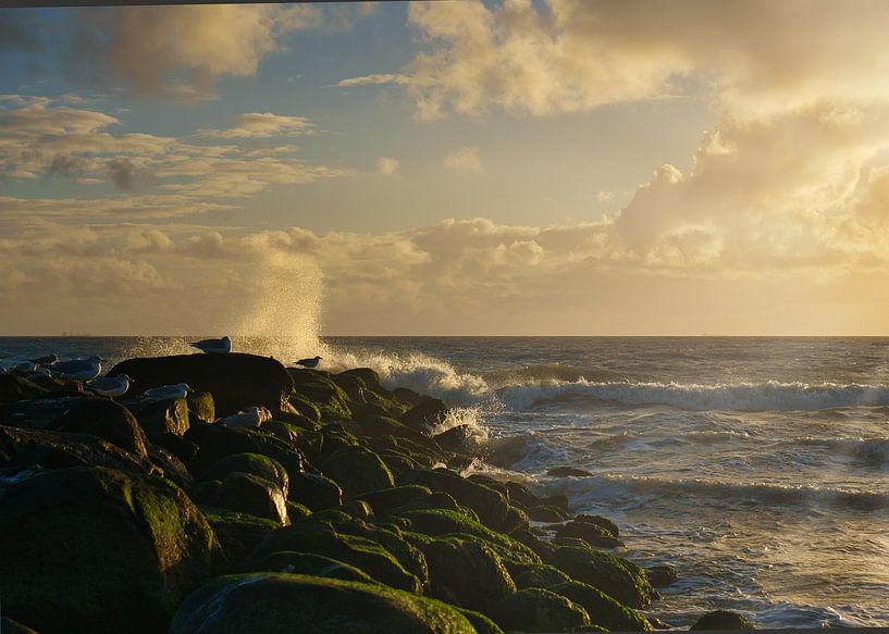 On the beach of Blåvand at sunset by the sea by Martin Köbsch