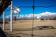 Basketballplatz - Manzanar von Bart van Vliet Miniaturansicht