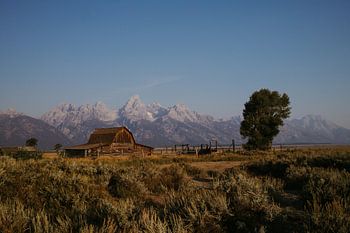 Mormon Row - Parc national de Grand Teton