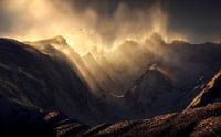 Polterzeitgeist, Ryan Dyar by 1x thumbnail