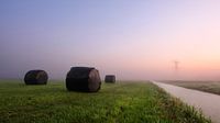 Dutch polder landscape