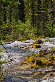 Rapids at Lake Moraine in Canada