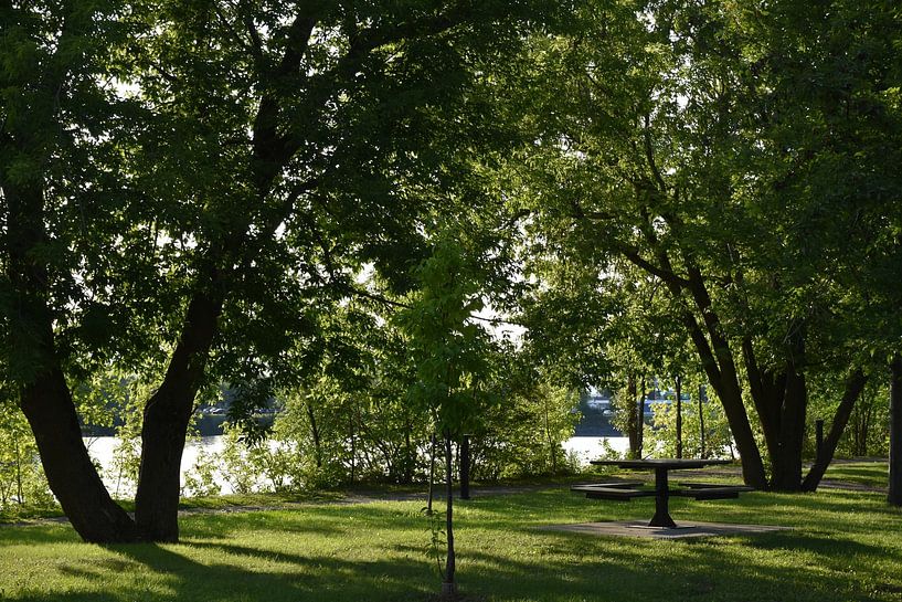 Ein Tisch im Park im Sommer von Claude Laprise