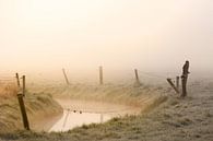 Buizerd in de mist by Evert Jan Kip thumbnail