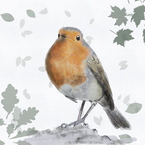 Roodborstje aquarel