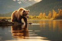 Braunbär am See