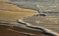 De zuiverende zee (1)