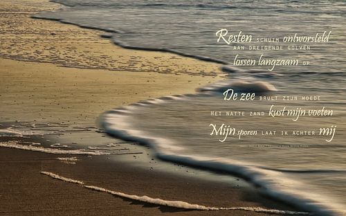 De zuiverende zee (1)