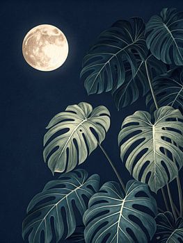 Moonlight Monstera