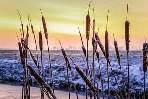 Vroege koude winterochtend sur Jo Pixel