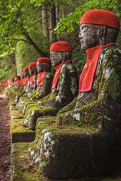 Japan Nikko Narab jizo by Jelmer Laernoes