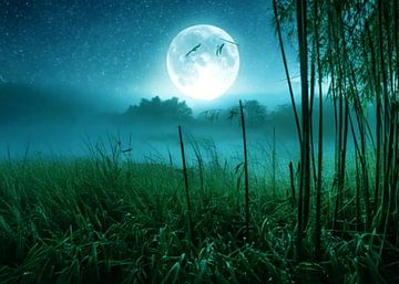 Mondlicht in einer klaren Nacht in einem traditionellen tropischen Dorf von Artkreator