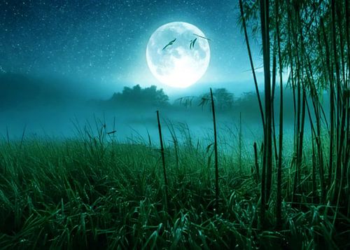 Maanlicht op een heldere nacht in een traditioneel tropisch dorp