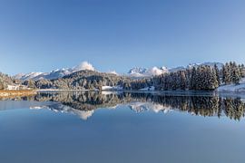 Winter Wonderland von Teresa Bauer