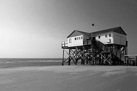 Pile dwellings in St. Peter Ording (Schleswig-Holstein/ Germany) by Frank Herrmann