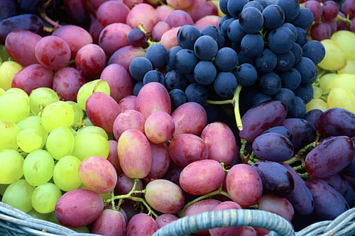 Frische Trauben in verschiedenen Sorten und Farben