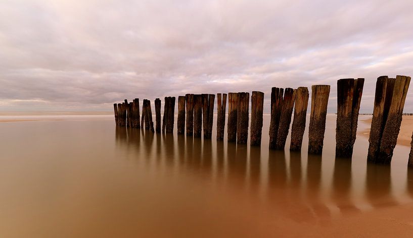 Palen in Zee by peterheinspictures