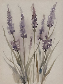 Lavendel in Aquarel – Botanische Bloemenkunst in Zachte Kleuren van Hilde Remerie – Digitale Kunst, Bauhaus & Fotografie