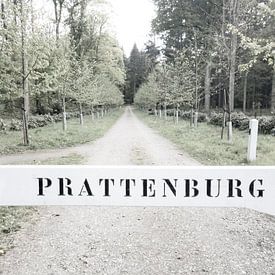 Prattenburg von Eric Oosterbeek