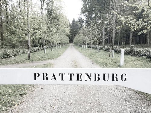 Prattenburg