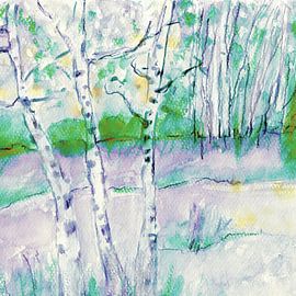 Birken in der Sonne - De bomen van de berk in de zon von Claudia Gründler