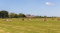 Niederländische Landschaft bei Muiderslot