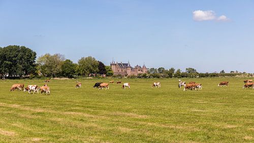 Paysage néerlandais à Muiderslot