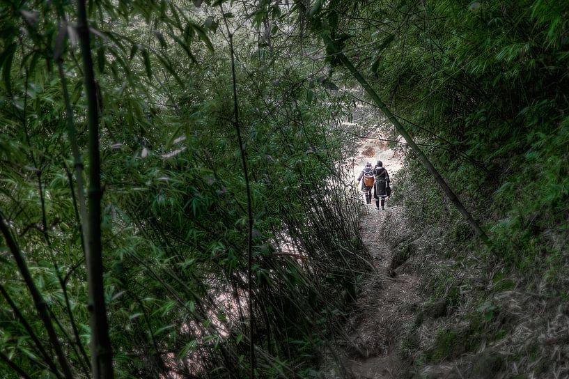 Exit bamboo by BL Photography
