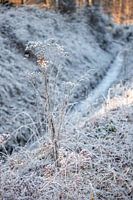 Ein schönes Winterbild