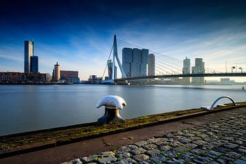 Die Skyline von Rotterdam entlang der Maas mit der charakteristischen Erasmusbrücke und der modernen von gaps photography