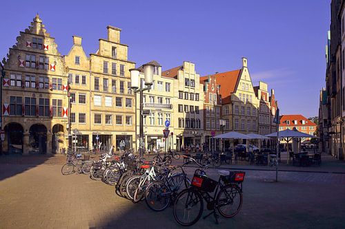 Münster in de morgen