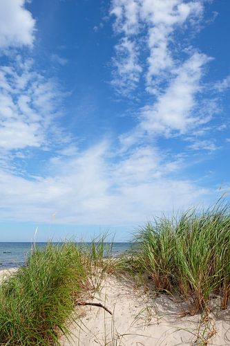 Ruegen dunes by Ostsee Bilder