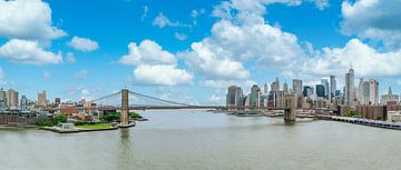 Downtown Manhattan by Ivo de Rooij