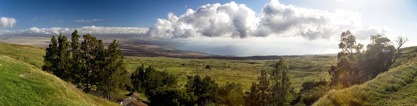 Westküste von Big Island, Hawaii von Dirk Rüter